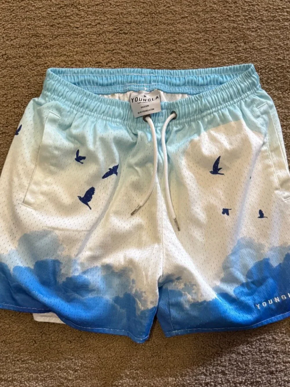 YoungLA 141 The Block Party Shorts Medium Above the Clouds